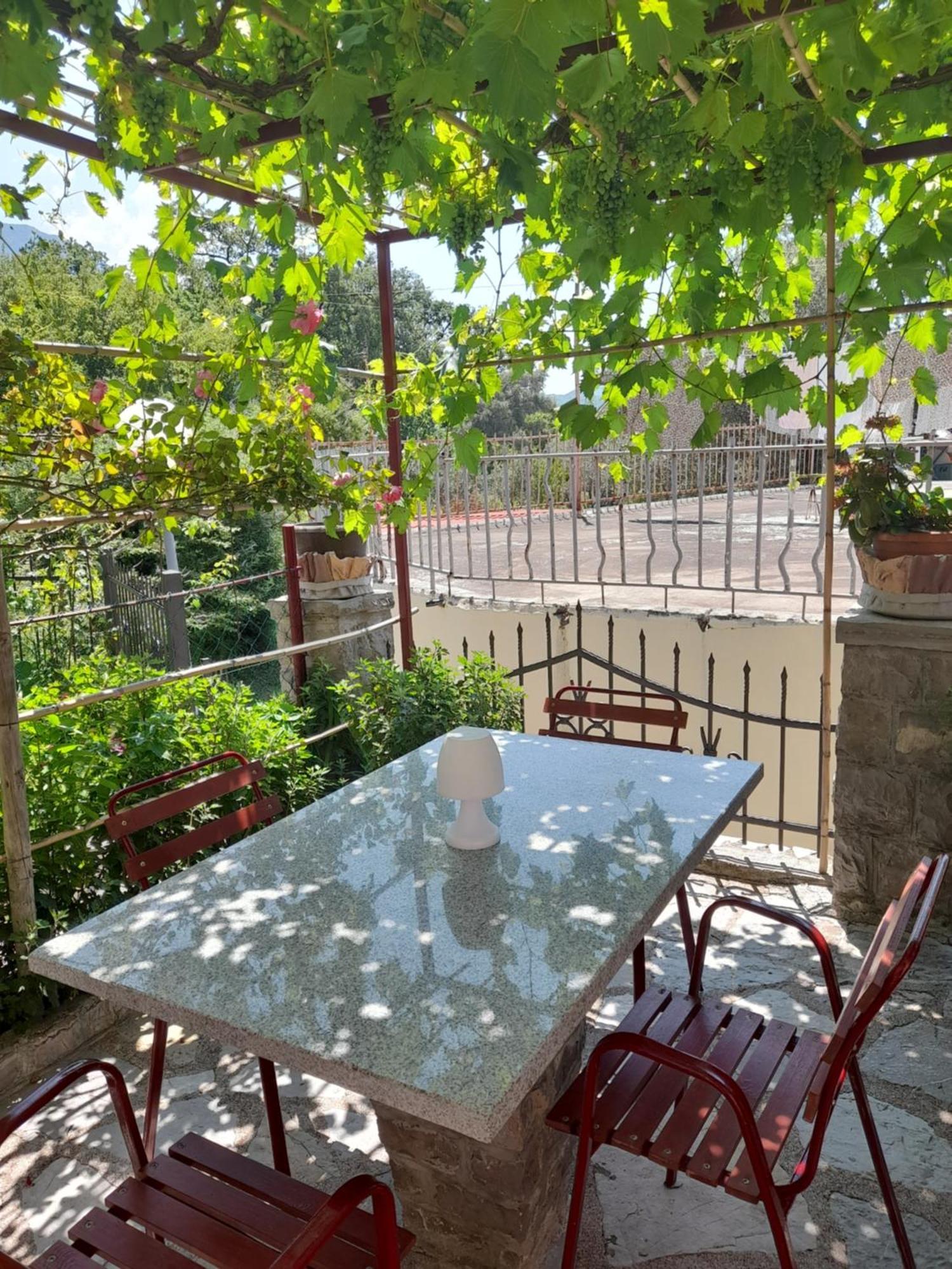 Apartments Kovacevic Petrovac 部屋 写真