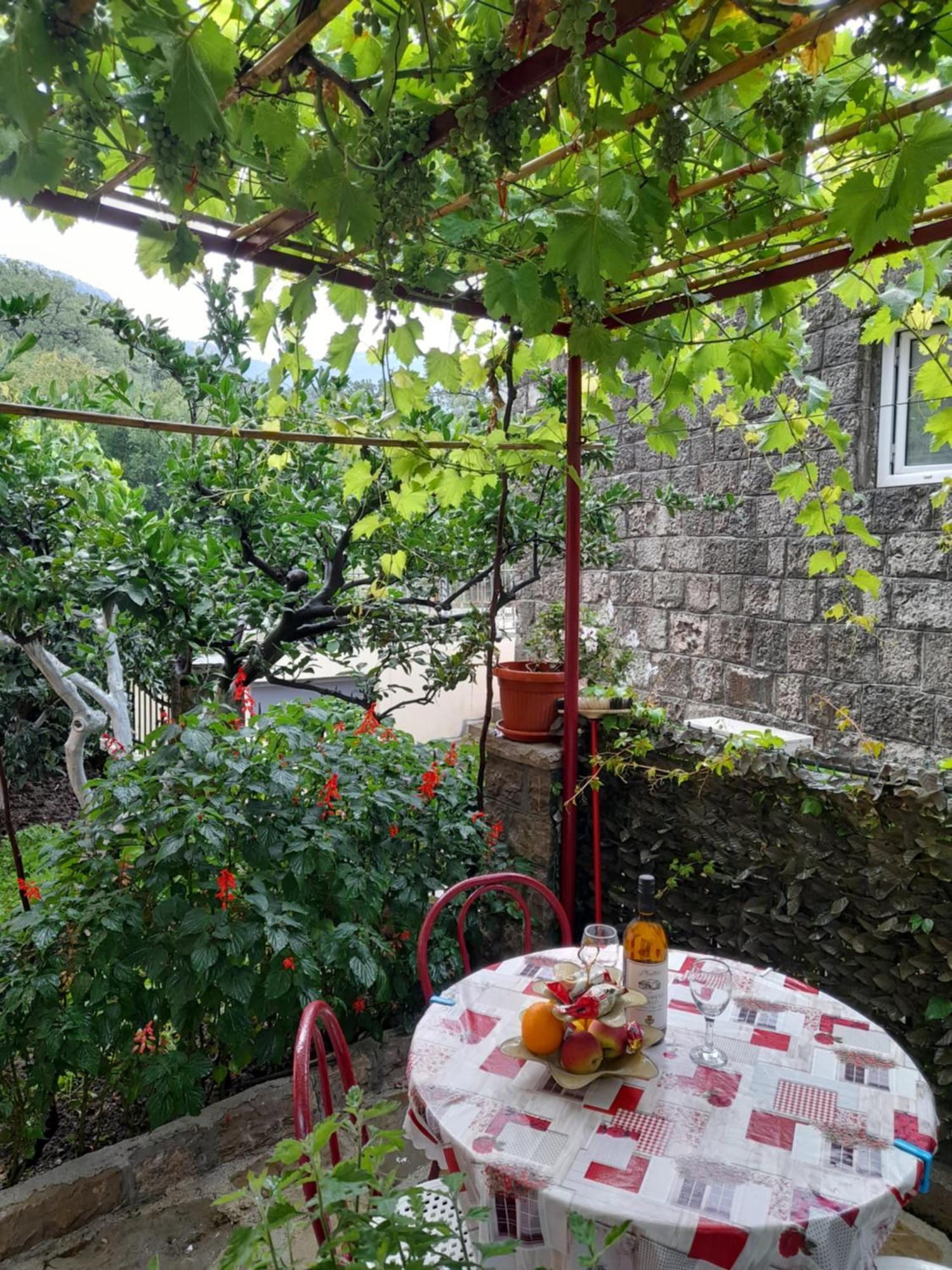 Apartments Kovacevic Petrovac 部屋 写真